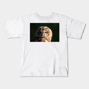 Tawny Owl, Strix aluco Kids T-Shirt